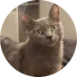 Retrato de Flávia.