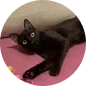 Foto da Bibi.